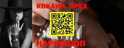гашик Дубна