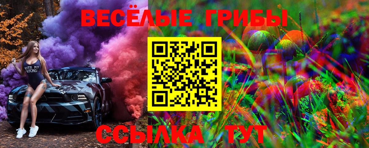 Галлюциногенные грибы Psilocybe Лесосибирск