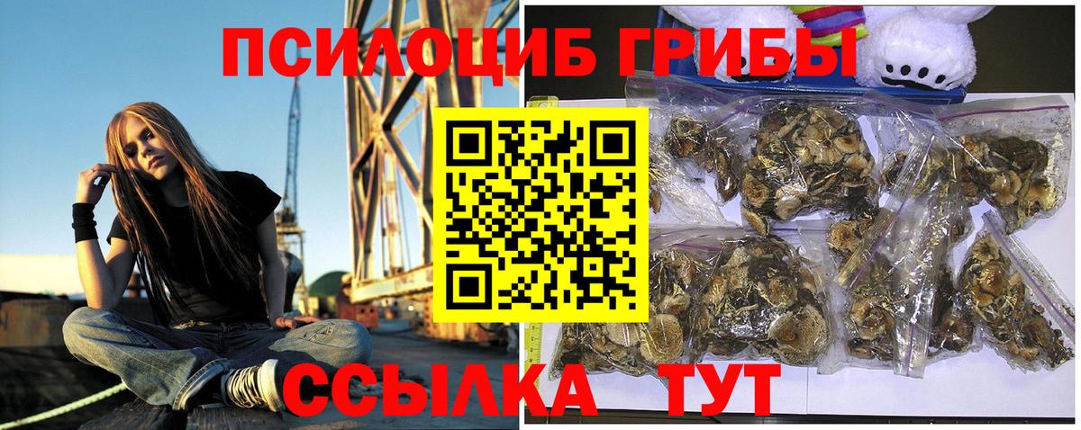 Псилоцибиновые грибы Psilocybine cubensis  Вход с VPN  Лесосибирск  купить закладку  Галлюциногенные грибы Psilocybe 
